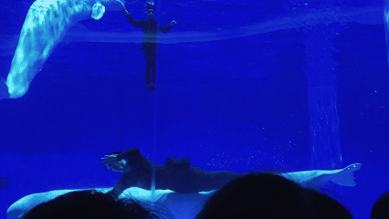 临沂太会玩了！你的短途出行计划，一键收藏