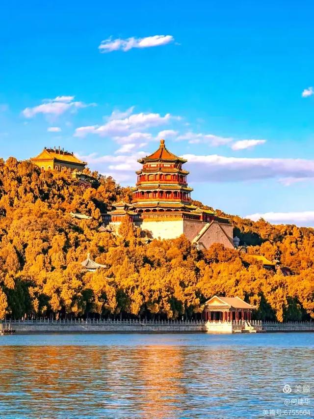 2025北京赏秋秘籍｜避开人潮，独享紫禁城外的金色浪漫