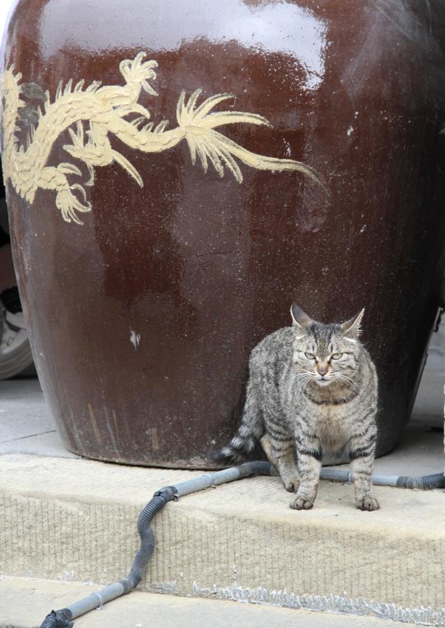 徜徉·太原古县城·太原