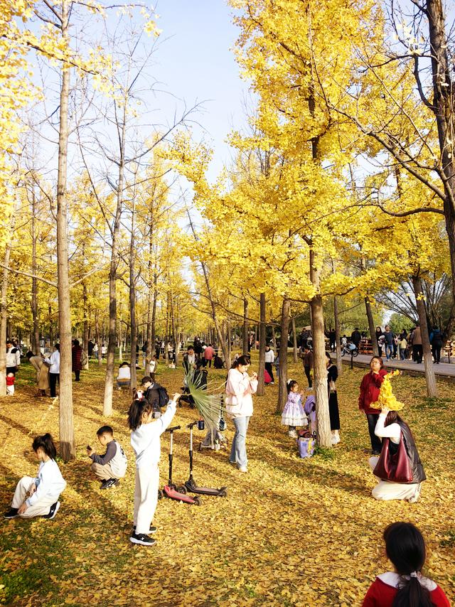 西安周末好去处——初冬8处宝藏公园免费又好玩！
