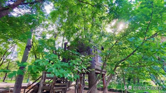 【乐游烟台】河畔「周末」| 秒降温5℃！烟台这个避暑地，谁还不知道→