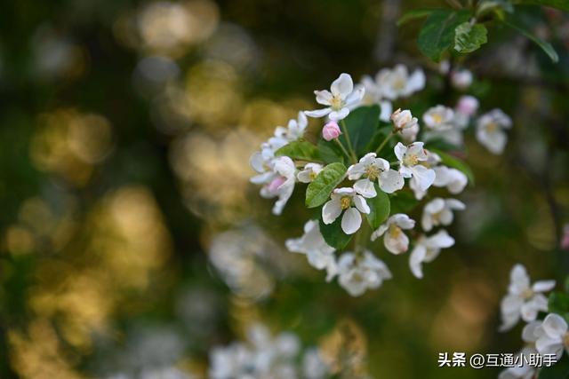 腾龙28-75mm F/2.8 Di III VXD G2 镜头评测——可靠的高性价比之选