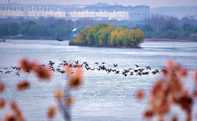 河南冬景上新,藏不住了!