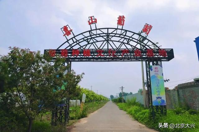 一站式嗨玩密码，就在大兴采育镇！