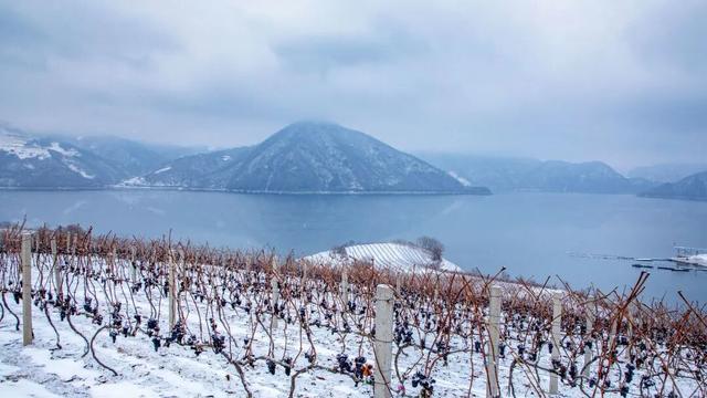 集安下雪了！这座小城变身冬日童话，拍照张张封神！