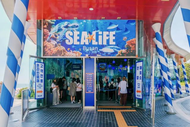 海鲜自由！美景自由！藏在半岛南端的宝藏海滨之城~