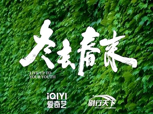郑晓龙又一部年代剧，30位实力派助阵	，我断言：这剧一播出就会火