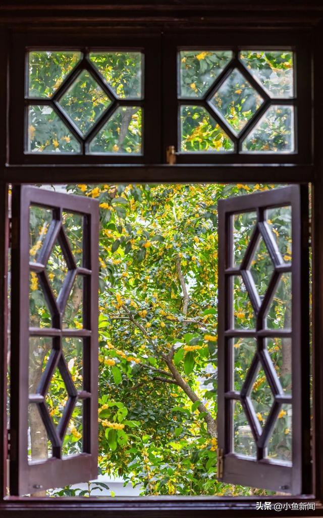 美爆了！苏州秋日大片，上新了！