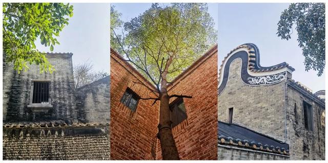 跟着电影打卡市桥,感受光影中的岭南温度!