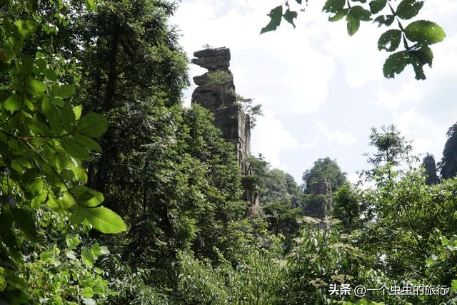 杨家界千米悬崖上的天空之路，揭秘杨家界“天然雕塑群”