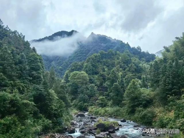 夏天你不能错过的浙南九寨沟！幽谷俊山，碧波荡漾，美得不像人间