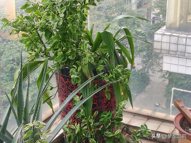 出行拜访友，一天游