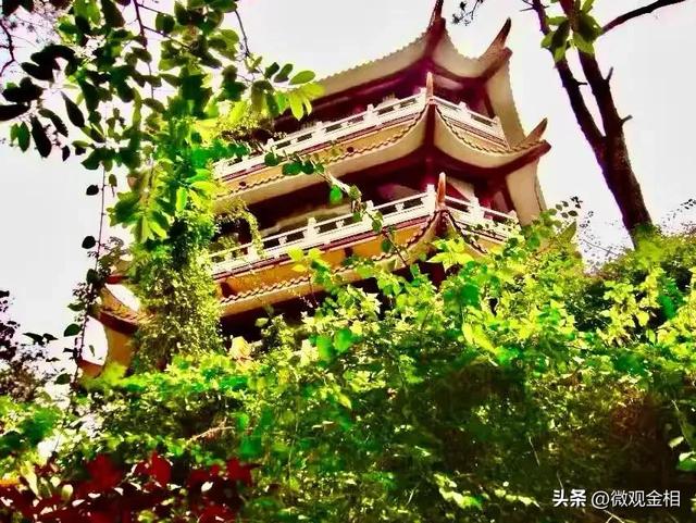 一年四季都可以去打卡的城市绿州麓湖