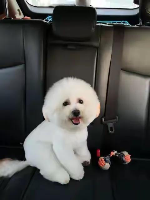 夫妻之间，女人越跟你对着干，争对错，不心疼你，越要牢记这5点