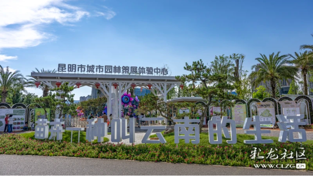旅居云南·昆明好在（七）巨型蘑菇“占领”城市花园