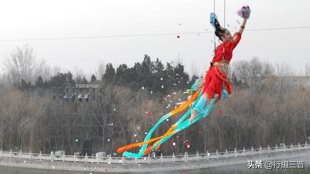 舜帝花海——邂逅一场别具一格的视觉盛宴