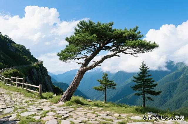 逃离“火炉”！城铁直达黄冈，开启山水避暑宝藏之旅