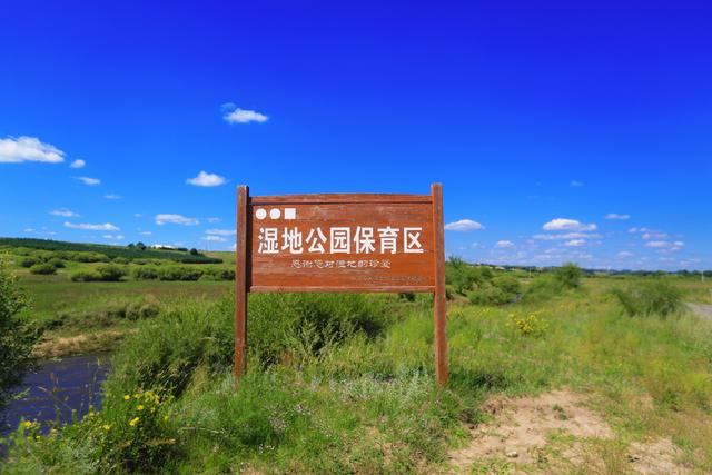 承德小滦河湿地公园，花的世界，林的海洋，是围场里的绿野仙踪