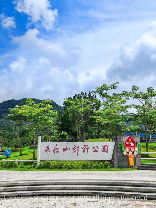 深圳徒步！超适合新手小白的3条郊野径路线，地铁公交直达还免费