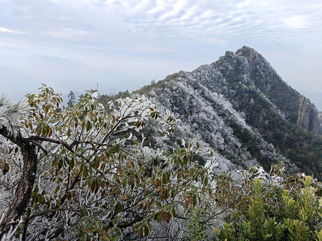 粤北山巅现雾凇奇景，乐昌马王殿冰晶映日如缀星子