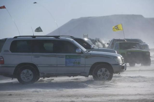 它来了 它来了~