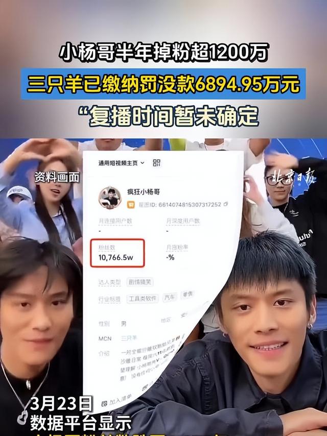 复出无望？东北雨姐再被点名，监管局重拳出击，网友：辛巴跑挺快