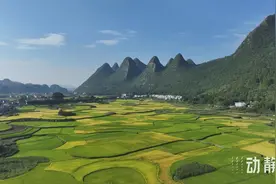 蹲点观察·看万峰林立（二）老牌景区再创业，打造现代化的诗酒田园图片