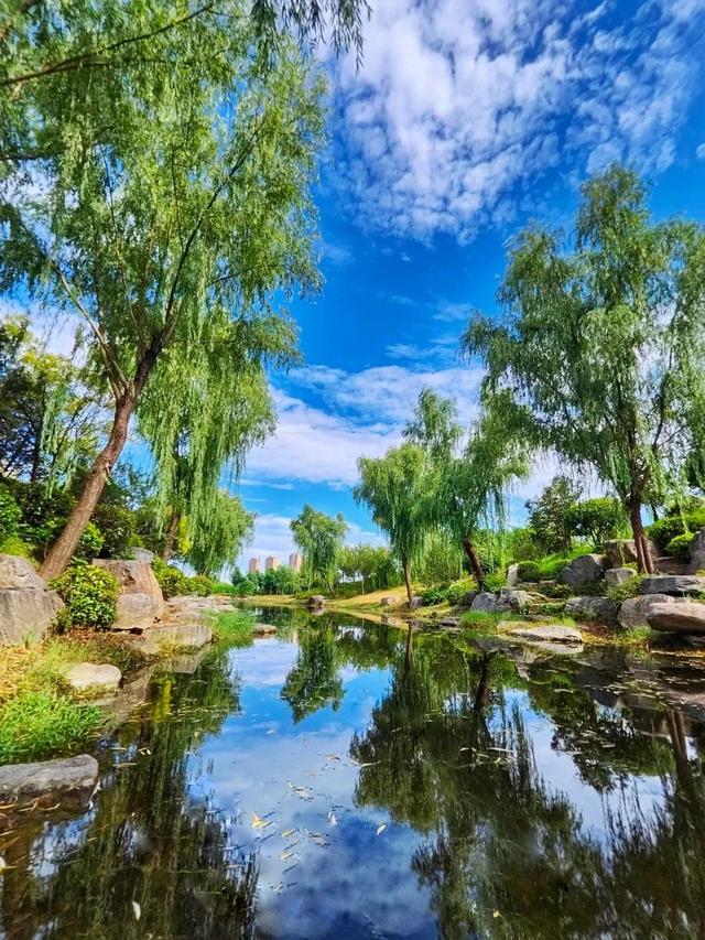 【许昌夏味漫游】躲进绿荫，邂逅25℃的夏天！