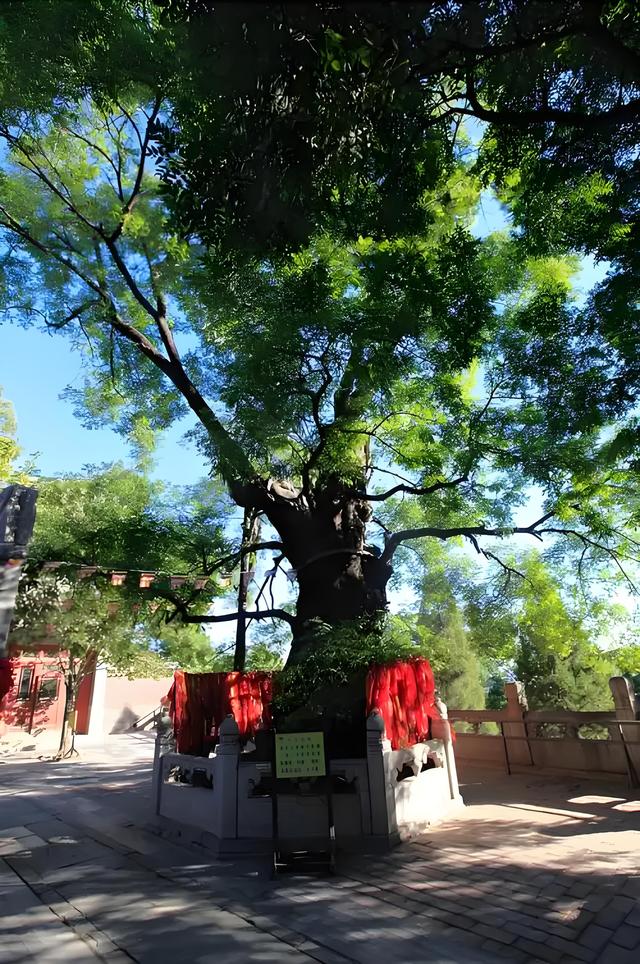 北京雨后的人文故事