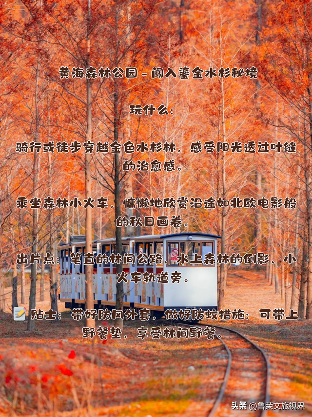 盐城秋日封神攻略：解锁东方湿地的诗意与壮阔