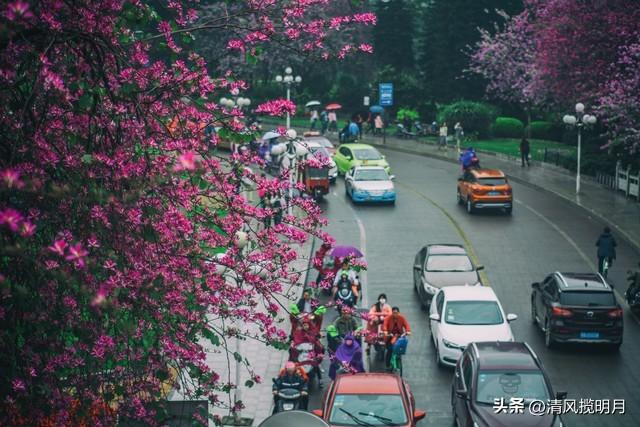 我是江西人，在广西待了10年，终于明白，为啥大家都愿意来广西了