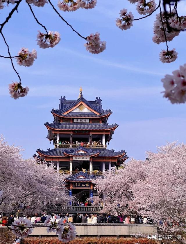 北京没想到，天津也没想到，如今的中国无锡，已成为全国焦点