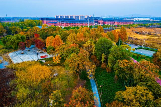 晚霞映照下的宁阳洸河湿地公园