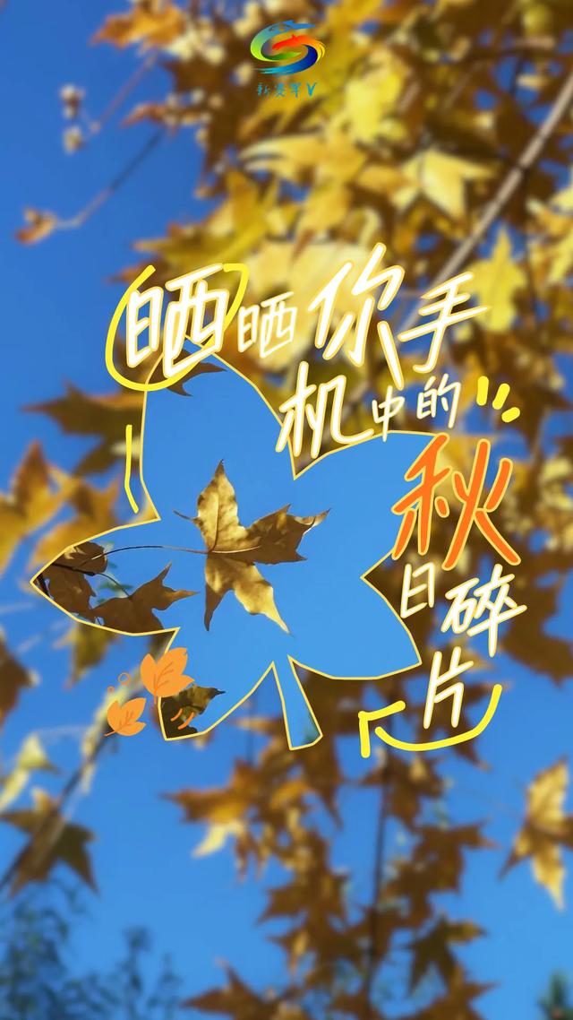 北疆文化 遇鉴赛罕 | 晒晒你手机中的赛罕秋色