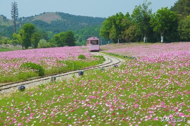养老热议：如何守护晚年幸福？新型养老方式来了，挑战传统观念！