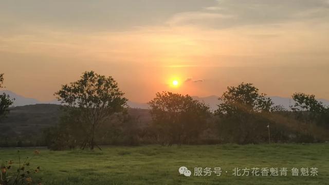 吃喝玩乐一站式！这个周末就来五莲这里！