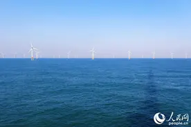 新春走基层｜出海！修“风车”图片