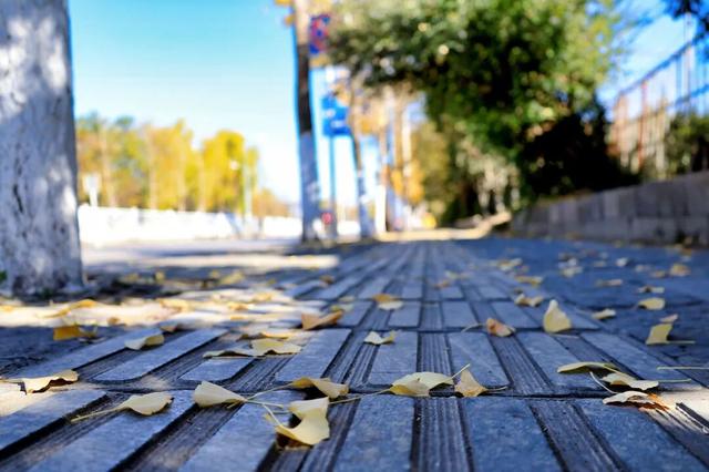 大理“金色童话”背后藏“秘密”