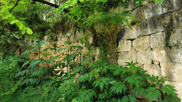 重庆九龙坡有一座明朝大寨，拥有18道城门，相传张献忠在此称帝