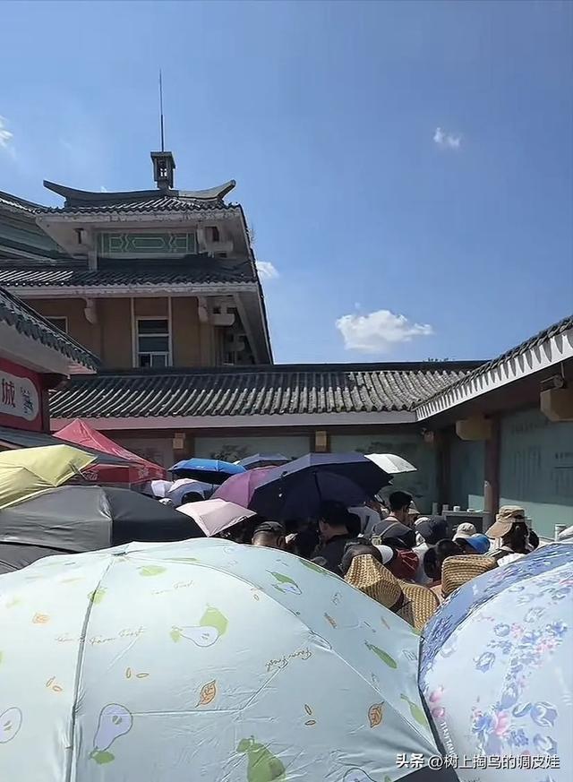 二探少林寺：新方丈上任后的变革与坚守