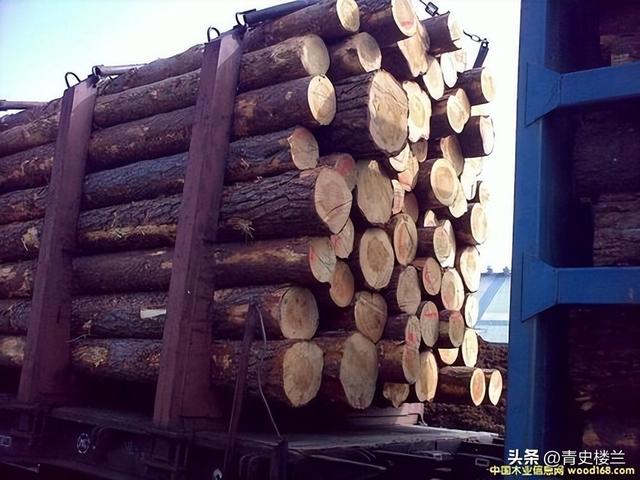 禁止所有中国外交官入境，不让两岸统一，这个国家比美国还要嚣张