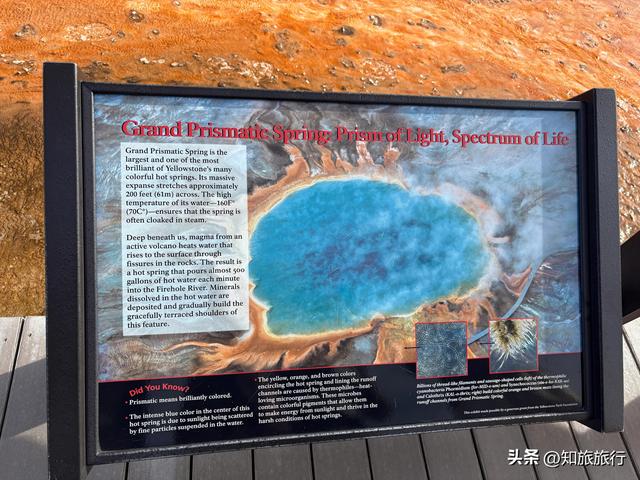 2025环球知旅——美西十三日(黄石公园5.9)