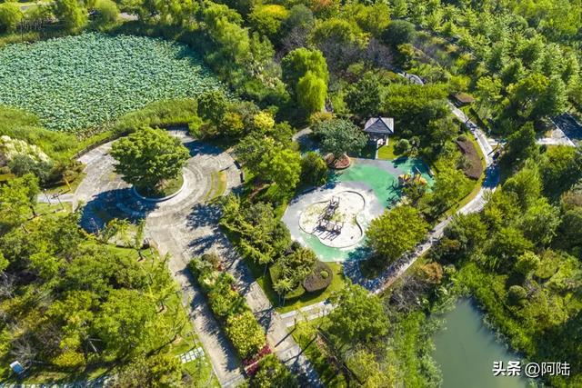 台州最被市民游客忽视的景点其实是个公园，位于三江交会的孤岛上