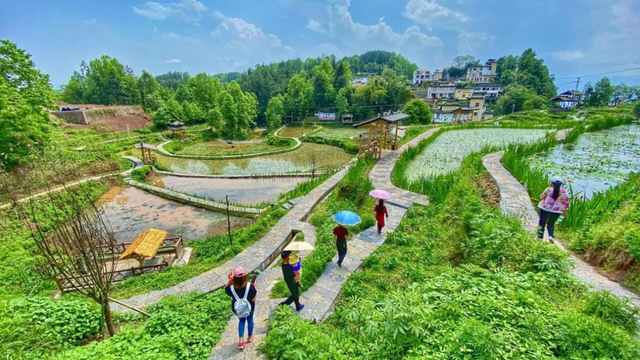 地名里的重庆 | 走进乌江畔芙蓉街道