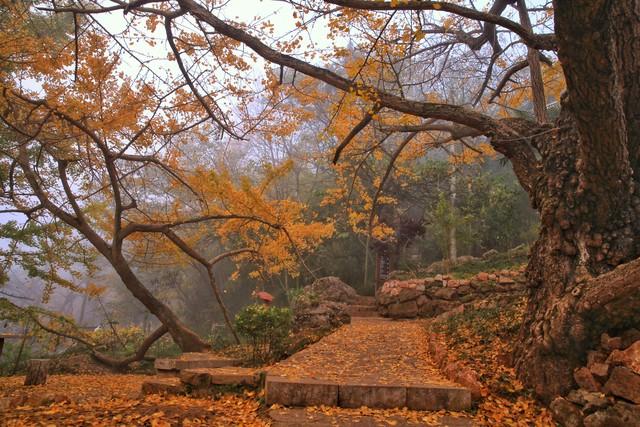 贵州私藏的5个秋色仙境，最后一个惊艳了千年时光！
