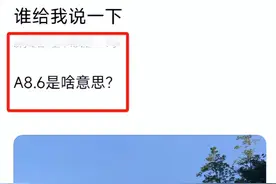 “A8.6”成为上海家庭最新富有目标，普通人不以为然：一套房而已图片