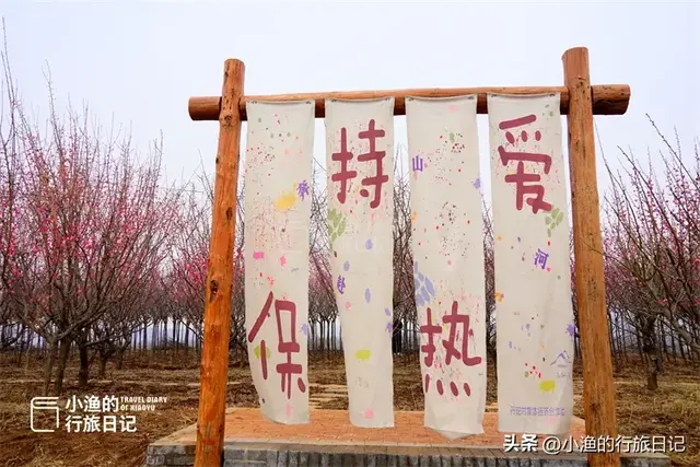 花期提前，秦岭第一波盛大花海已上线！这趟赏梅之旅，可以安排了