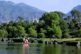 在山西，遇见绝美小森林！图片