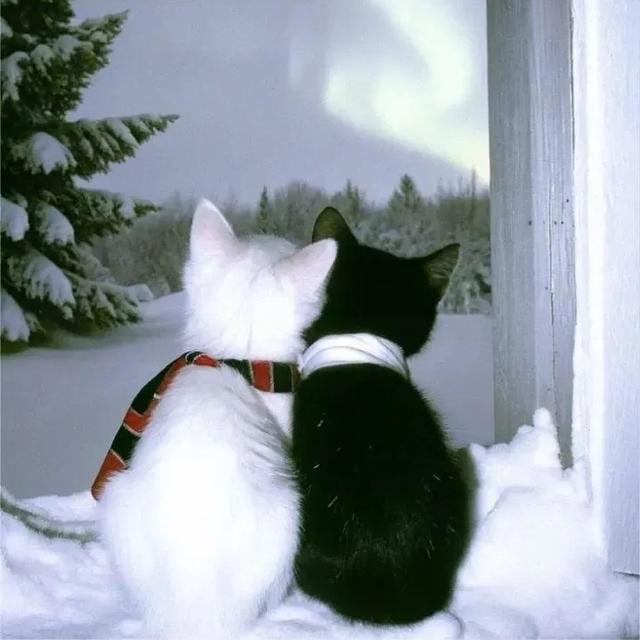 “降温了	，发一条不一样的朋友圈	”🧡