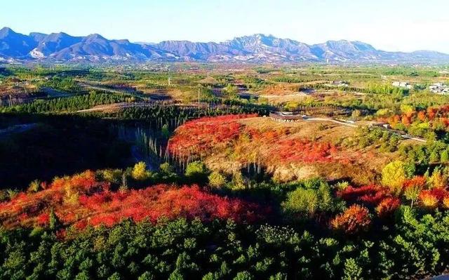 美翻了！丰台这些“秋季限定”进入倒计时→